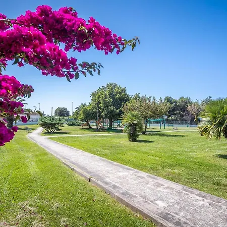 Casa de Férias The Aurora's *